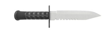 Dual Bayonets