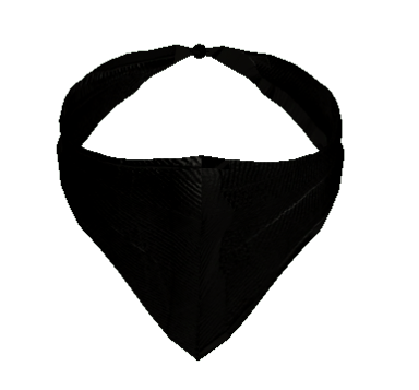 Bandana Black