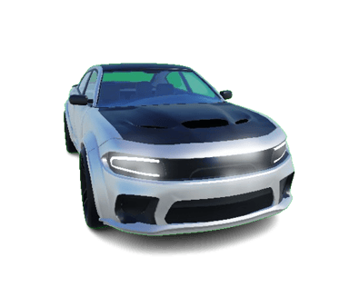 Muscle B