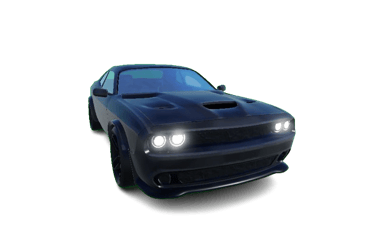 Muscle C Black