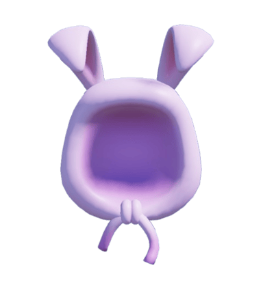 Bunny Hoodie