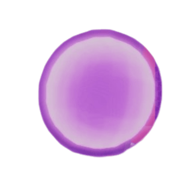 SP Reset Essence