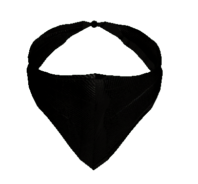 Bandana Black