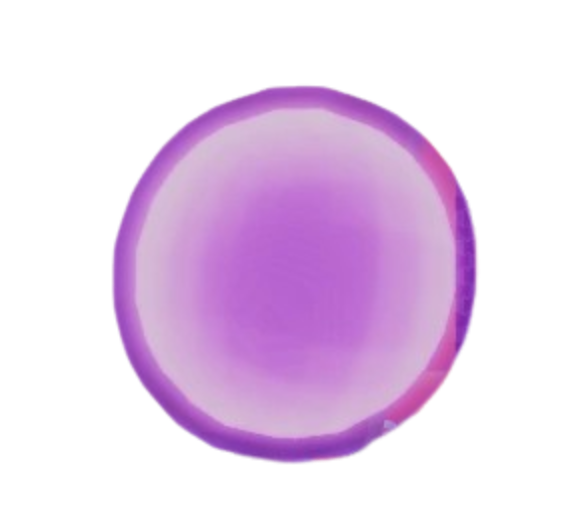 SP Reset Essence